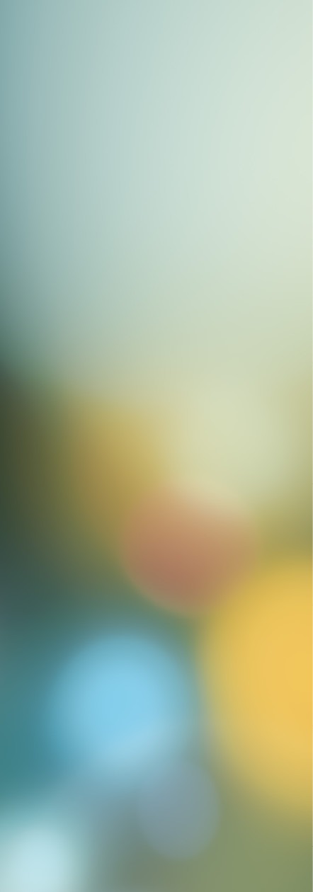 Titel: Bonpland, aus der Serie „Humboldts erste Reise“, Lambda Print on Diasec, Ingo Moeller Digital Photograohic Art Fine Print